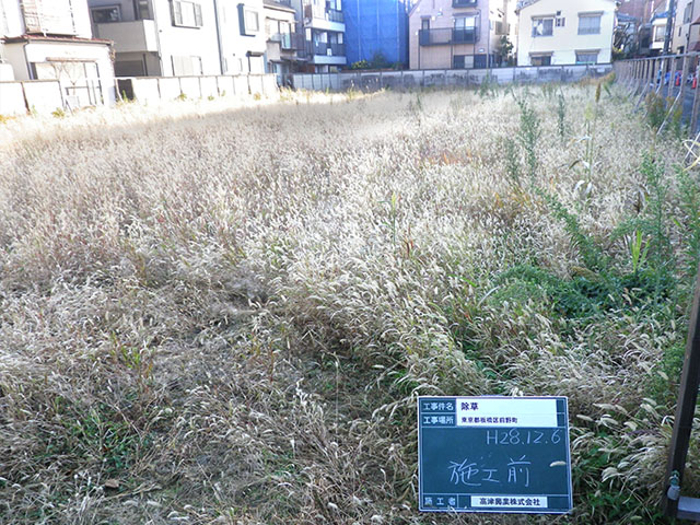 樹木剪定・草刈作業 施工前