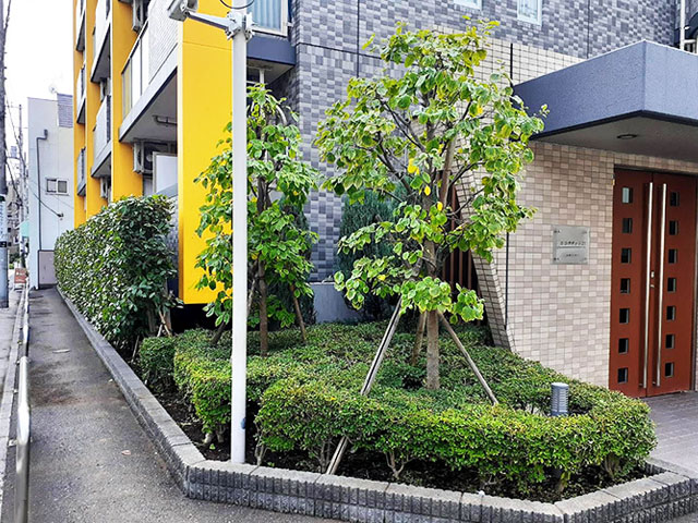 樹木剪定・草刈作業 施工後