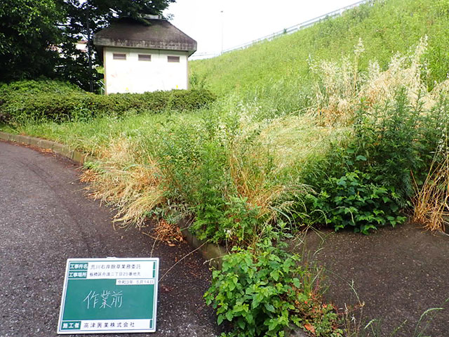 公園・緑地整備 施工前